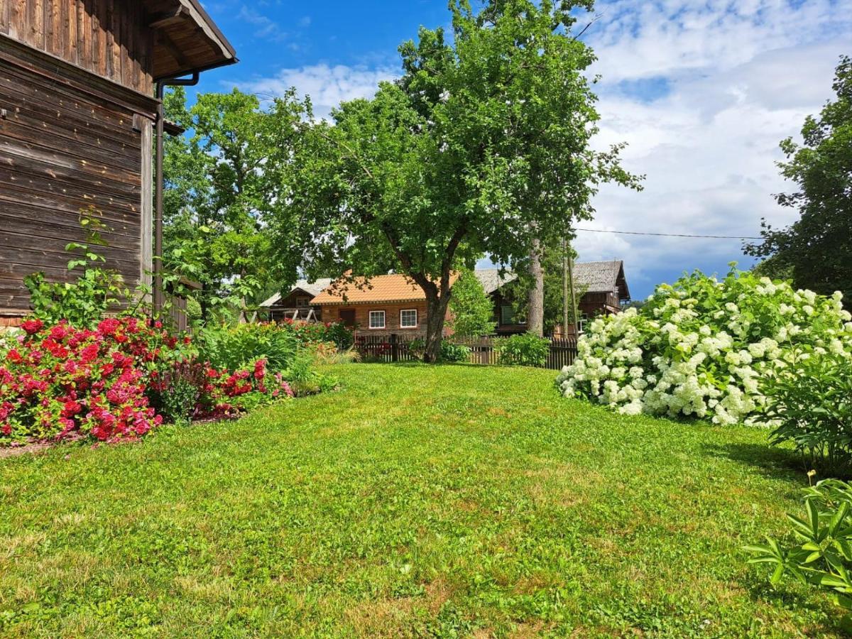 Апартаменты Turisma Mitne Zviedri Лигатне Экстерьер фото
